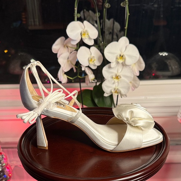 Badgley Mischka Janelle Ankle Tie Sandals - Picture 12 of 14